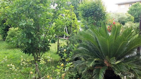 Venice Airport Room, 