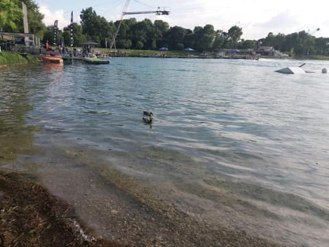 Borromeo Residenze Service s.a.s, 