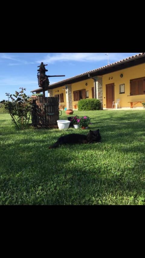 Agriturismo La Noce, 