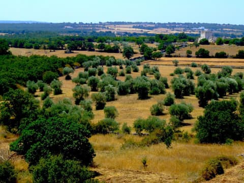 Apulia Victor Country Hotel, 