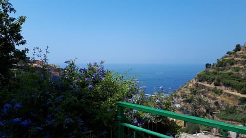 Olimpo Affittacamere, 