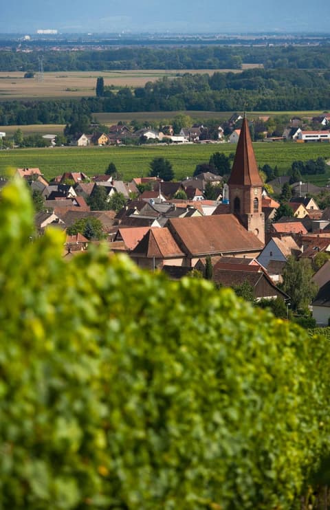 Hôtel Restaurant Logis La Palette, 