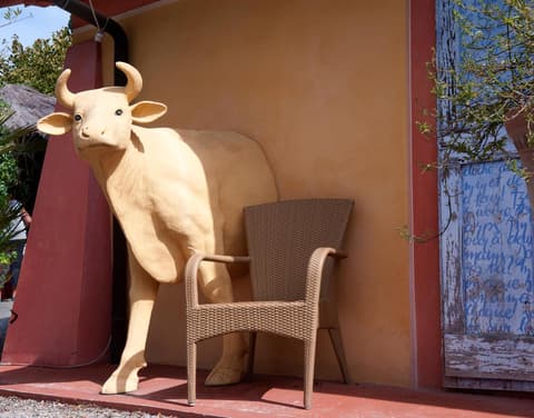 Fattoria Santa Lucia Borgo alla Cantina, 