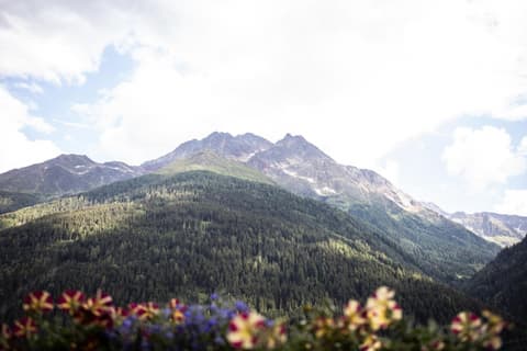 Hotel Alpina Superior, 