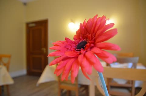 Hotel Villa Kisseleff, 