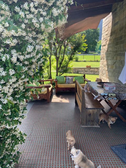 B&B Il tempo del sogno con cani e gatti Pet&Breakfast, 