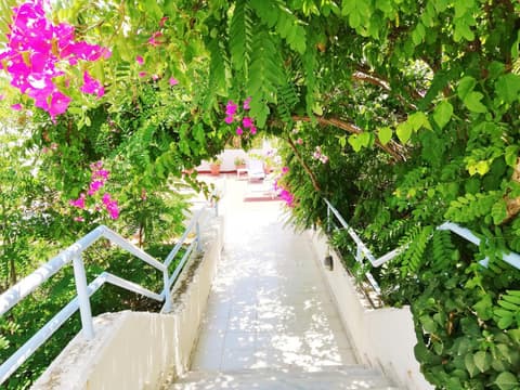 Seafront Studios and Apartments, 