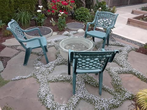 Vancouver Traveller B&B, 