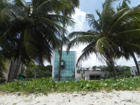 Flat Easy Green Sunset 316, 