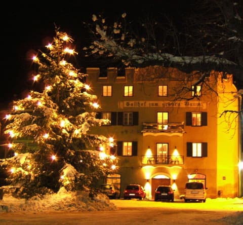 Hotel Gasthof Grüner Baum, 
