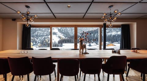 Burgi's - Adults only, 