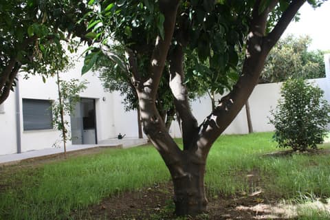 Residencia Mayol - Adults Only, 