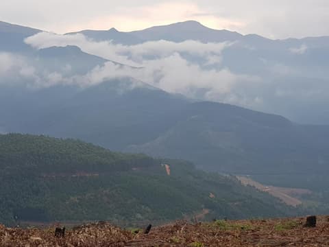 A Farm Stay - Casablanca's Private Cottage,no loadshedding!, 