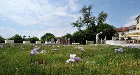 Park Hotel Villa Carpenada, 