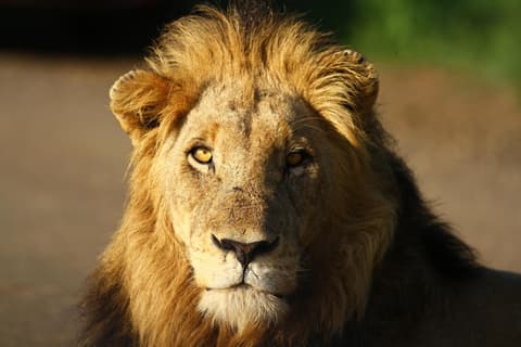 Kaia Tani Exclusive Guesthouse, 