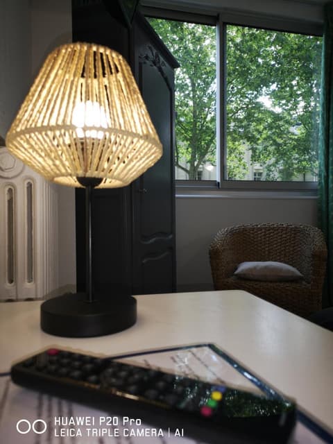 Hôtel Trianon Tours, 