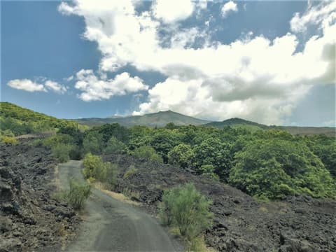 Matilde's Chalet Etna Nature House, 