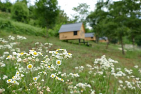 Casa Baladin camere di Charme e Agronidi dell'Open Garden, 