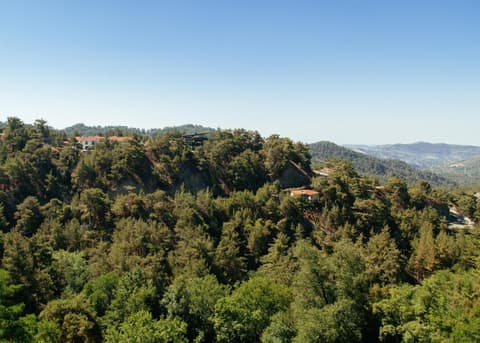 Petit Palais Platres Boutique Hotel, 