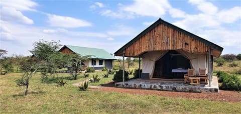 Africa Safari Serengeti Ikoma, 