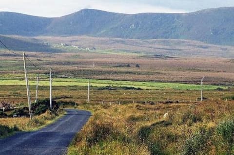 The Yellow Rose B&B, 