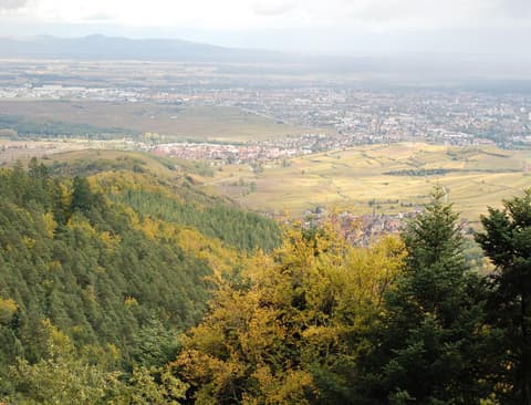 Cottage 1956 - Maison d'hôtes, 