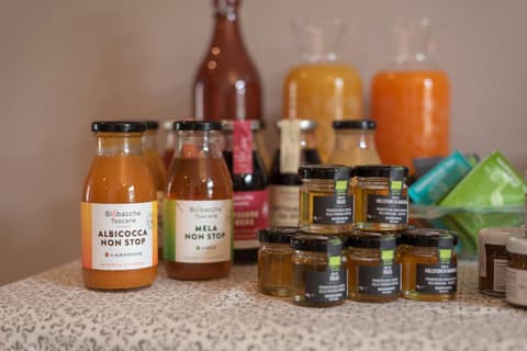 IN LUCUS Guest House, 