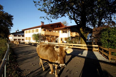 Luna Mia - Apartments, 