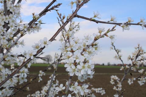 Agriturismo Ravaglia Grande, 