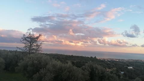 ALKYONI - Stavi's Guesthouse, 