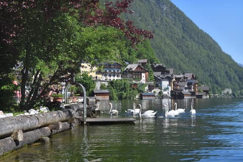 Gasthof Simony Hallstatt B&B, 