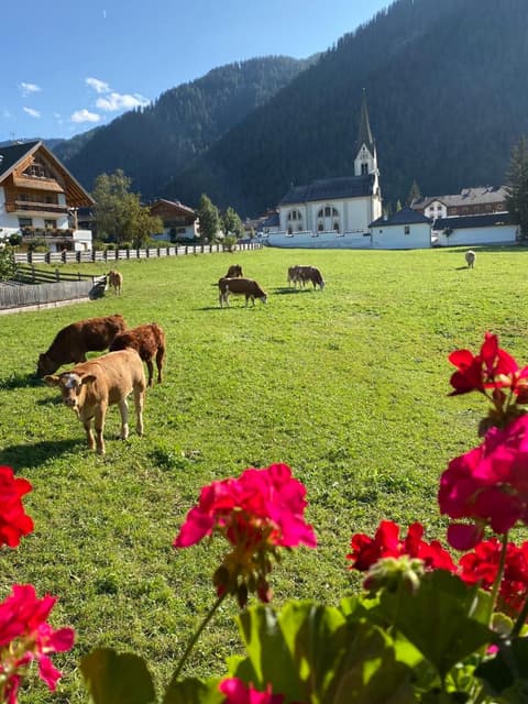 La Ücia by Fana Ladina, 