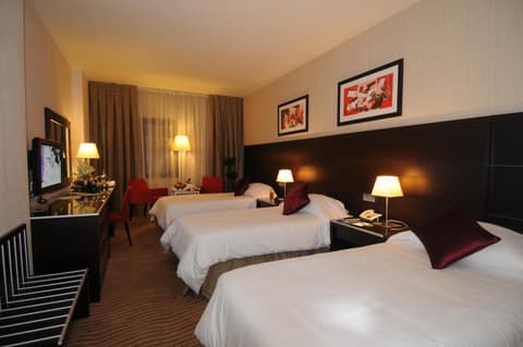 Maysan Al Harithia Hotel, 