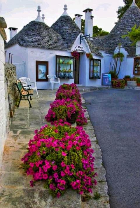 B&B il Faso vicino Zoosafari di Fasano, 