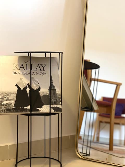 Booklovers apartment close to center, 