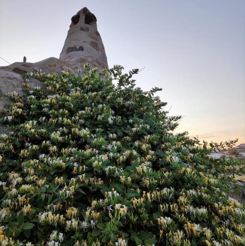 Pyrgi Artemis Place, 