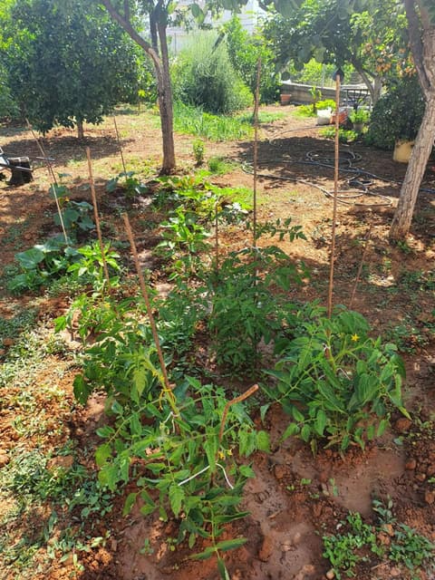Chania Casa Portokali, 