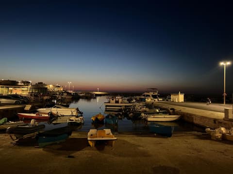 Palazzo Savoia 1856, 