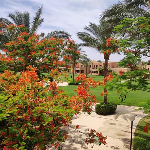 Chalet Stella di Mare Makadi Bay, 