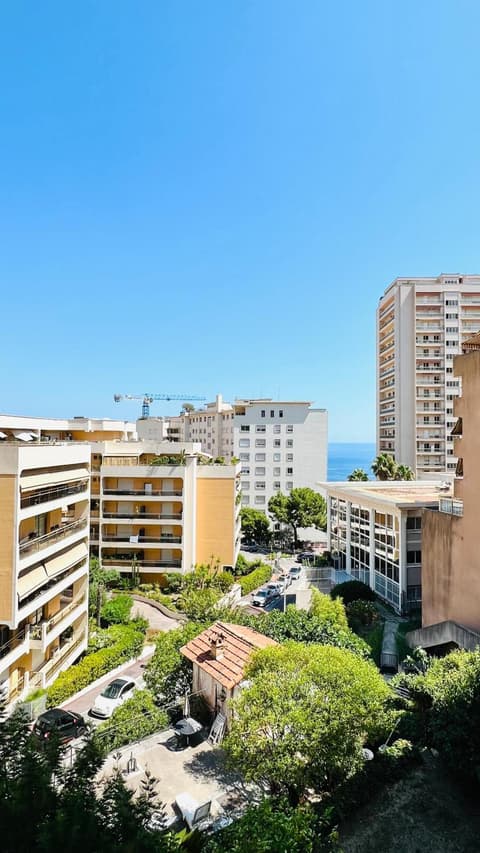 Mari stunning apartment next to Monaco with a sea view terrace, 