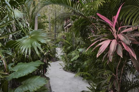 Hotel Boutique TerraNova, 