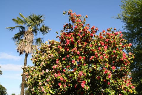 Maranatha Country House, 