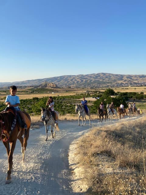 Avanos horse ranch, 