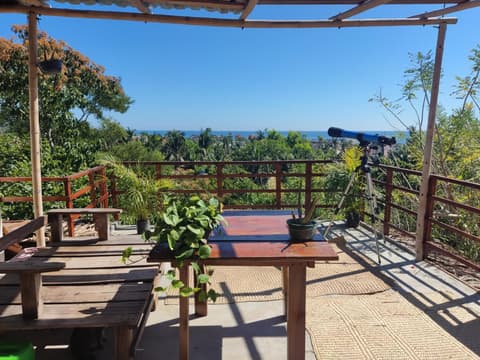 Aloevera Mixtli Zipolite, 