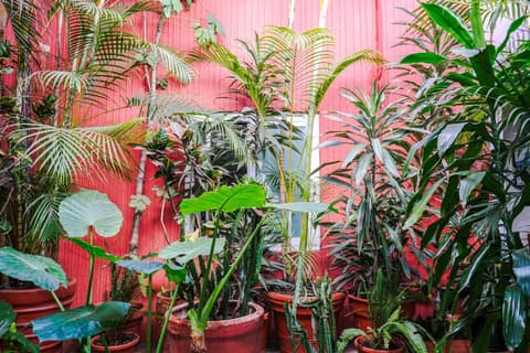 Hotel Posada el Cid, 