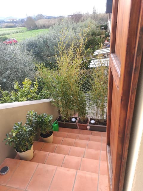 La casa del fenicottero, 