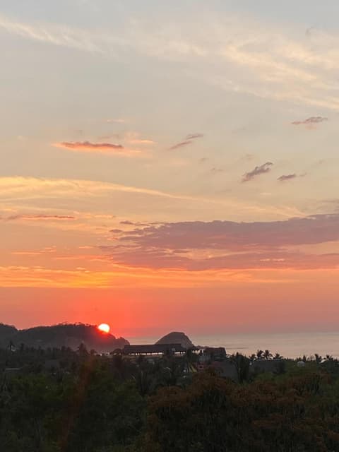 Aloevera Mixtli Zipolite, 