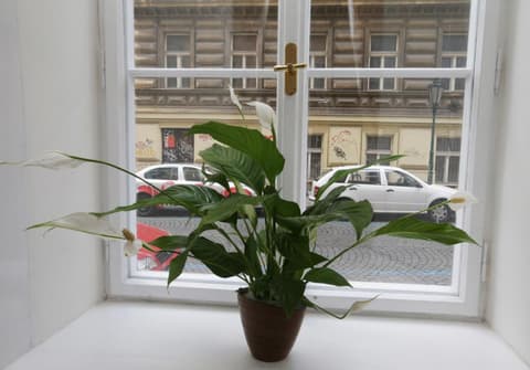 Greg Apartments Kampa Prague, 