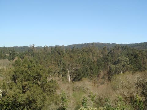 Pensión Residencial Platas, 