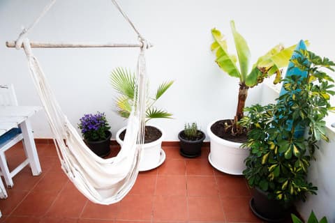 SURF DREAM Surfhouse, 